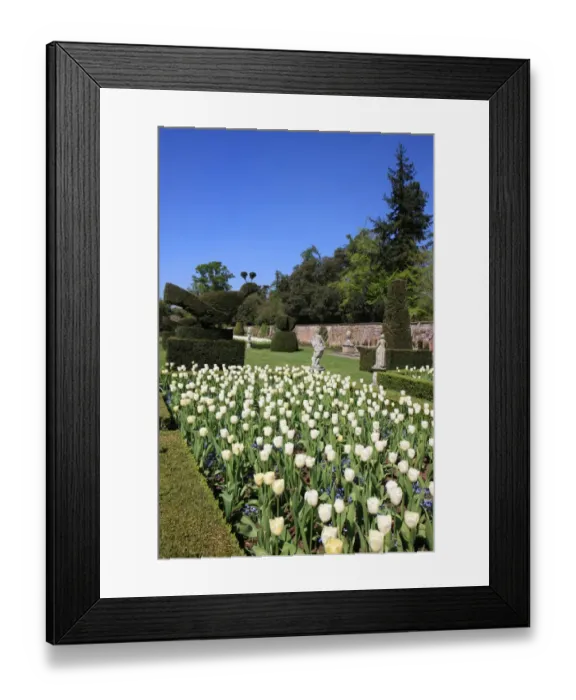 Framed Print : Cliveden. THe Long Garden at Cliveden Buckinghamshire England Framed Print : Cliveden. THe Long Garden at Cliveden Buckinghamshire England