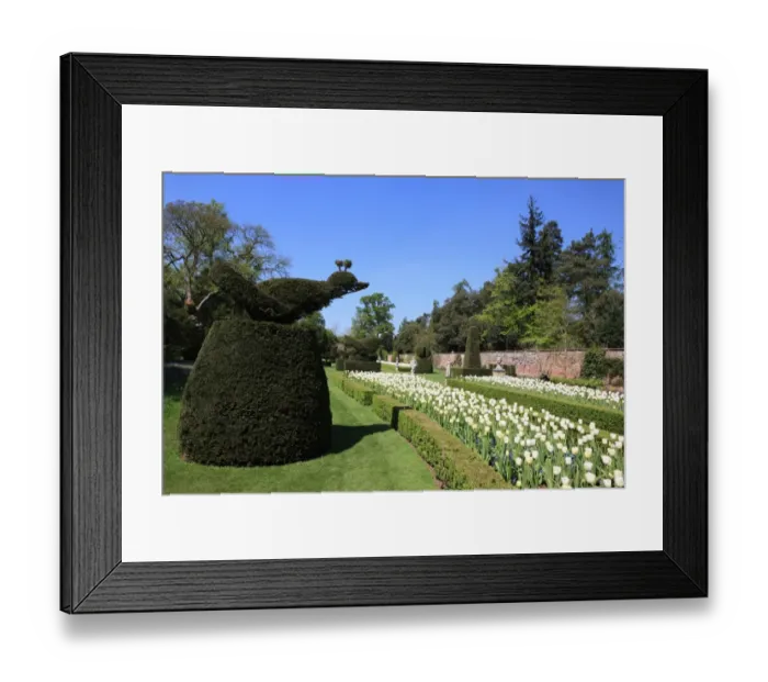 Framed Print : Cliveden. THe Long Garden at Cliveden Buckinghamshire England Framed Print : Cliveden. THe Long Garden at Cliveden Buckinghamshire England