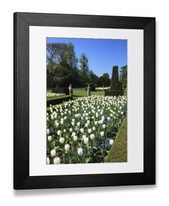 Framed Print : Cliveden. THe Long Garden at Cliveden Buckinghamshire England Framed Print : Cliveden. THe Long Garden at Cliveden Buckinghamshire England