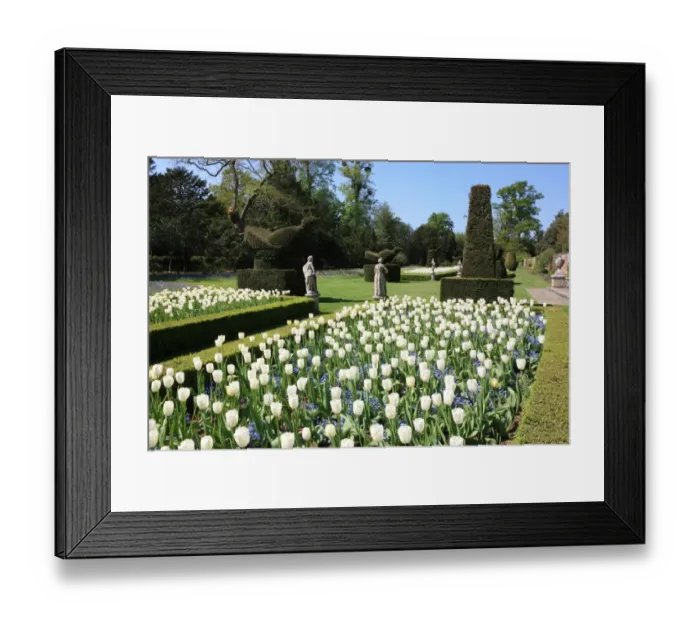 Framed Print : Cliveden. THe Long Garden at Cliveden Buckinghamshire England Framed Print : Cliveden. THe Long Garden at Cliveden Buckinghamshire England