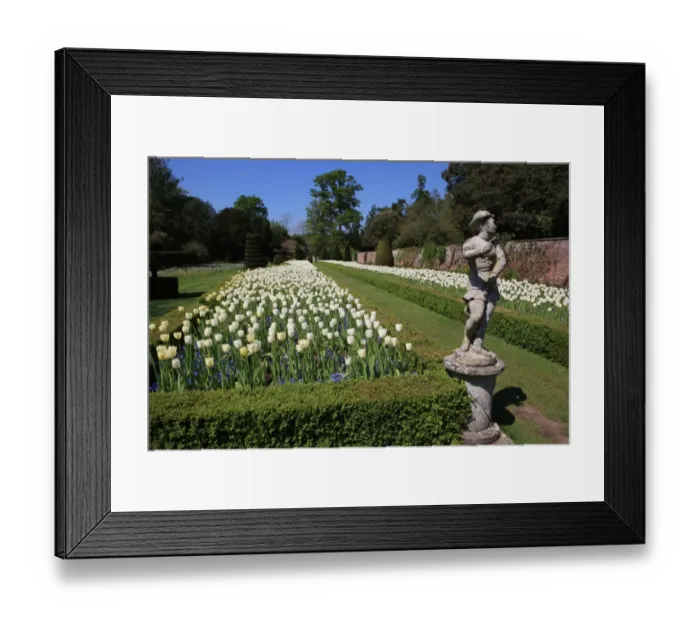 Framed Print : Cliveden. THe Long Garden at Cliveden Buckinghamshire England Framed Print : Cliveden. THe Long Garden at Cliveden Buckinghamshire England
