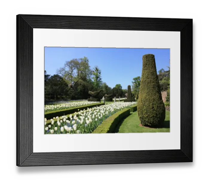Framed Print : Cliveden. THe Long Garden at Cliveden Buckinghamshire England Framed Print : Cliveden. THe Long Garden at Cliveden Buckinghamshire England