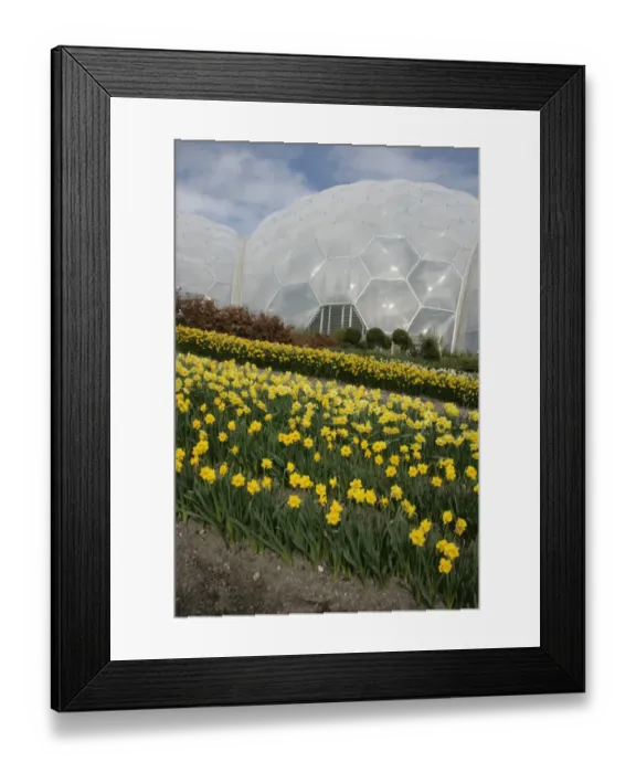 Framed Print : Eden Project Cornwall Framed Print : Eden Project Cornwall