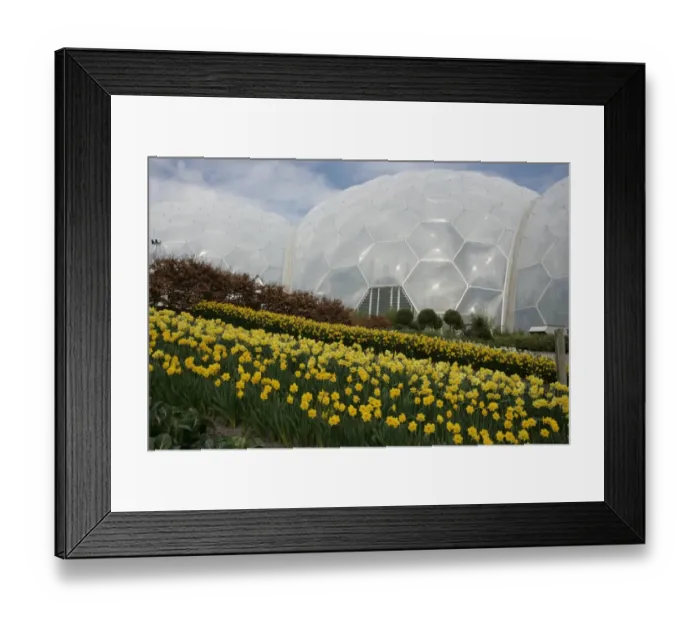 Framed Print : Eden Project Cornwall Framed Print : Eden Project Cornwall