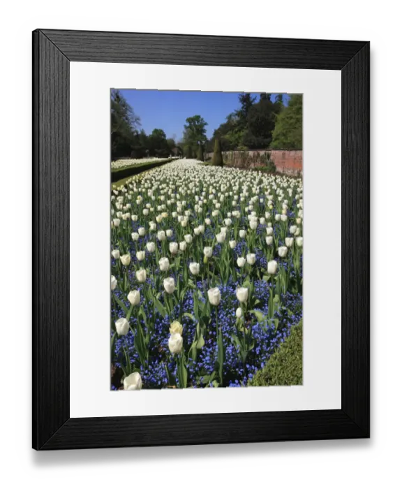 Framed Print : Cliveden. THe Long Garden at Cliveden Buckinghamshire England