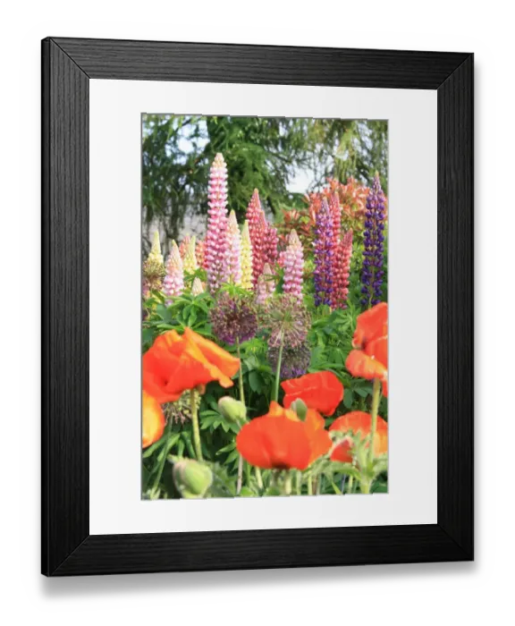 Framed Print : Cotswold garden Framed Print : Cotswold garden