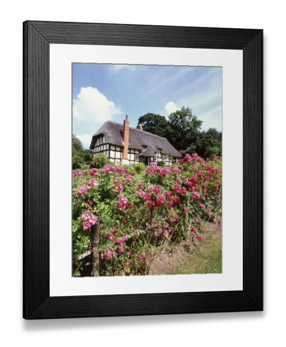 Framed Print : EASTNOR. A summers day in a garden in the village of Eastnor Here and Worc Framed Print : EASTNOR. A summers day in a garden in the village of Eastnor Here and Worc