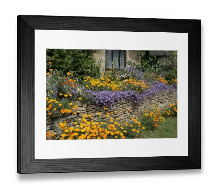 Framed Print : Cottage garden Framed Print : Cottage garden