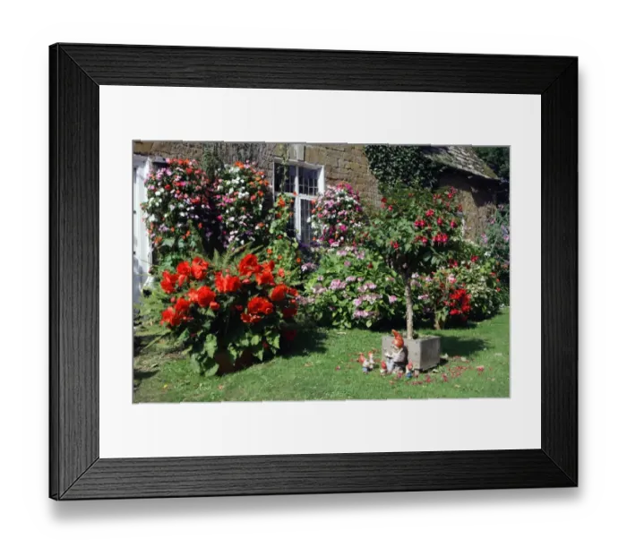 Framed Print : Gret Tew. Cottage garden in the Oxfordshire village of Great Tew on a summers day Framed Print : Gret Tew. Cottage garden in the Oxfordshire village of Great Tew on a summers day