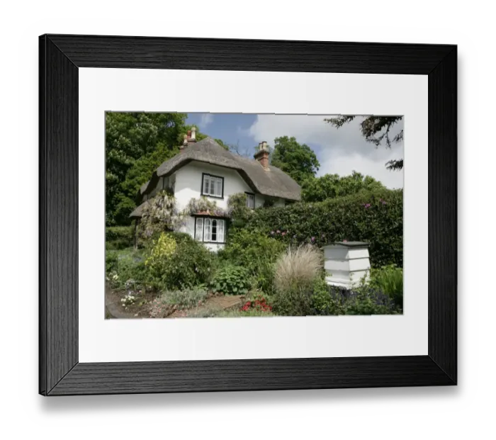 Framed Print : Swan Green Framed Print : Swan Green