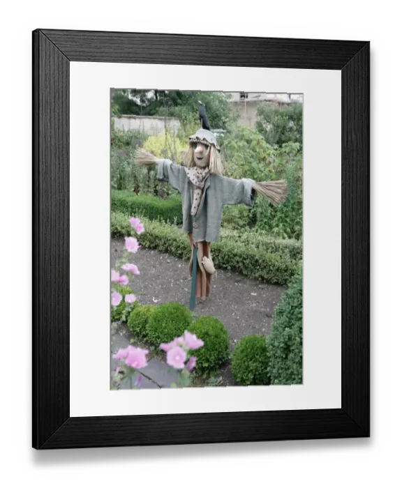 Framed Print : Scarecrow. A Scarecrow in the Vegetable garden at Barnsley House hotel Framed Print : Scarecrow. A Scarecrow in the Vegetable garden at Barnsley House hotel