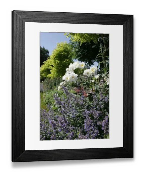 Framed Print : Buscot House and Park