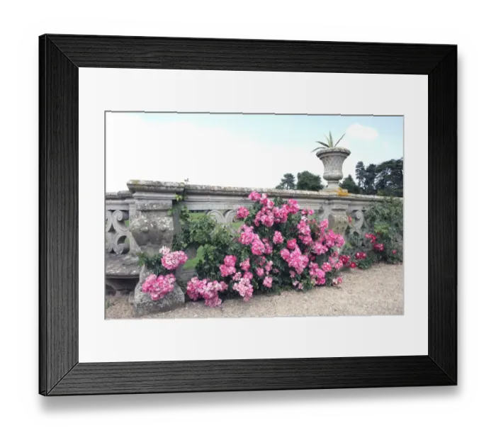 Framed Print : Charlecote Park Warw Framed Print : Charlecote Park Warw