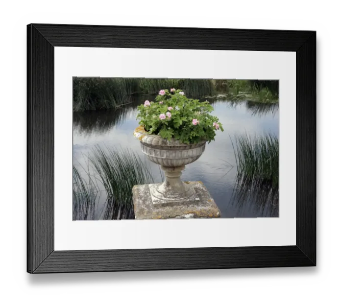 Framed Print : Charlecote Park Warw Framed Print : Charlecote Park Warw