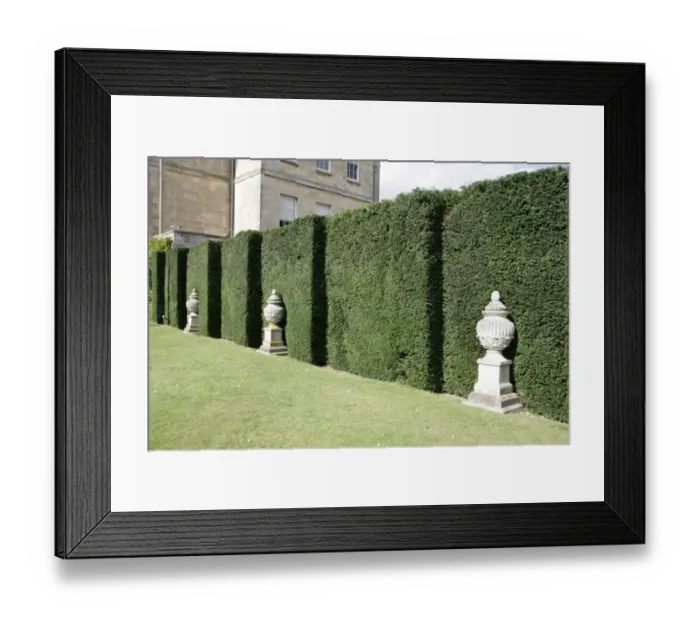 Framed Print : Buscot Park Framed Print : Buscot Park