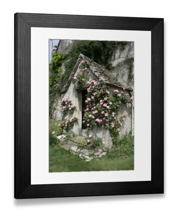 Framed Print : Roses around a door way of an old Farmhouse in the cotswold hamlet of Calmsden