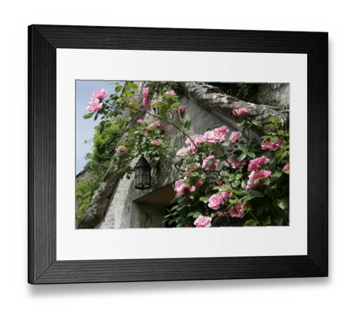 Framed Print : Roses around a door way of an old Farmhouse in the cotswold hamlet of Calmsden