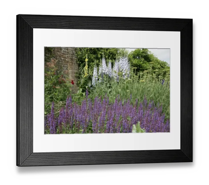 Framed Print : Waterperry Gardens Framed Print : Waterperry Gardens