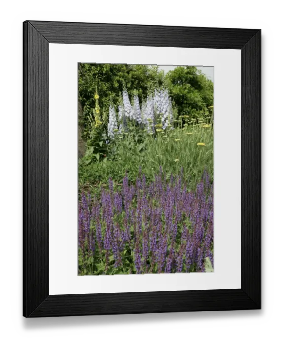 Framed Print : Waterperry Gardens Framed Print : Waterperry Gardens