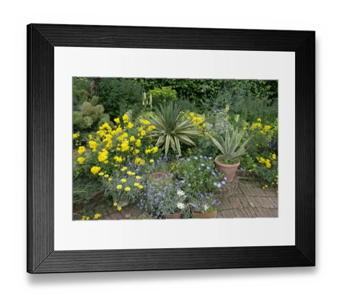 Framed Print : Hidcote Manor Framed Print : Hidcote Manor
