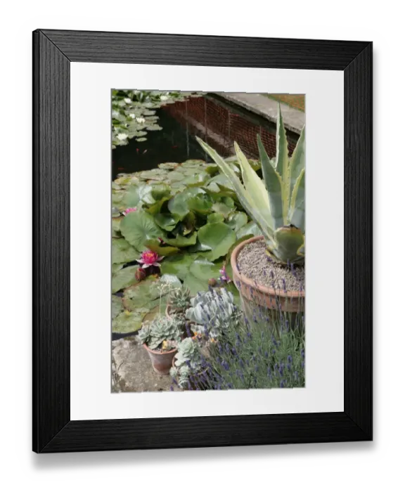 Framed Print : Hidcote Manor
