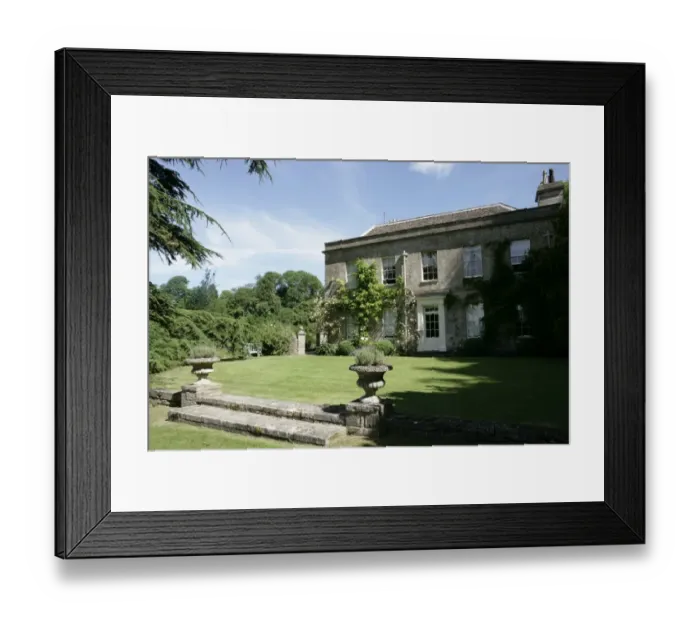 Framed Print : Rambler Roses Framed Print : Rambler Roses