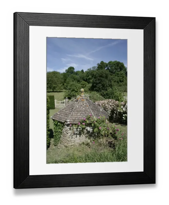 Framed Print : Rambler Roses Framed Print : Rambler Roses