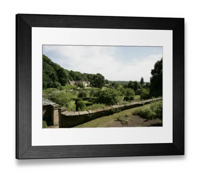 Framed Print : Rambler Roses Framed Print : Rambler Roses