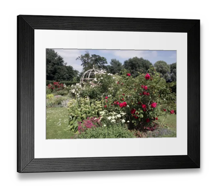 Framed Print : Waterperry Gardens Framed Print : Waterperry Gardens