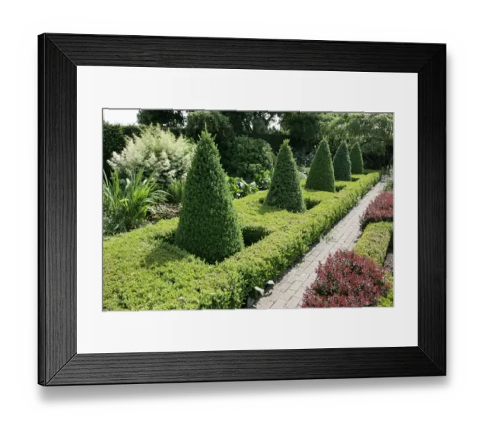 Framed Print : Waterperry Gardens Framed Print : Waterperry Gardens