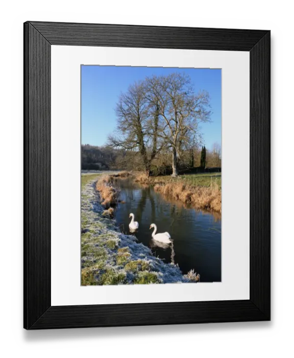Framed Print : A winters day Framed Print : A winters day
