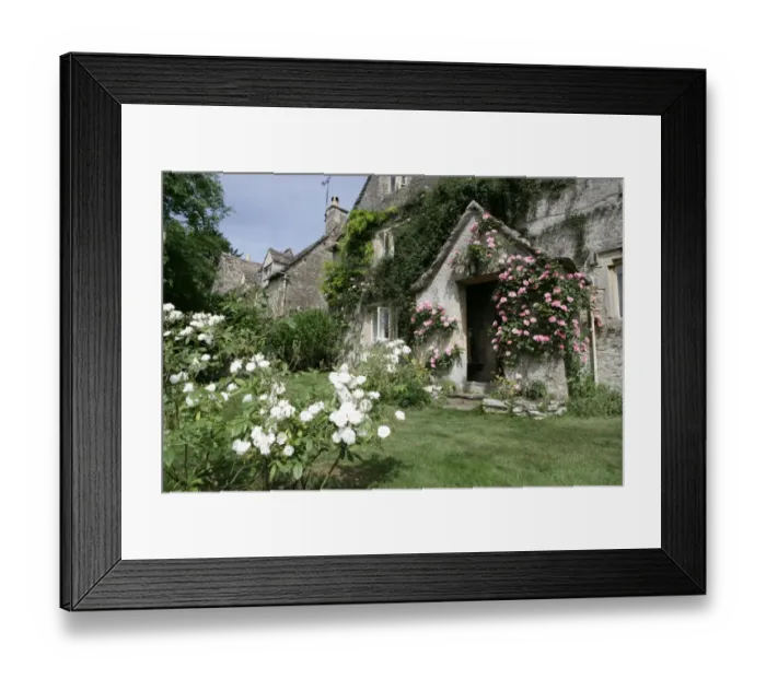 Framed Print : Roses around a door way of an old Farmhouse in the cotswold hamlet of Calmsden