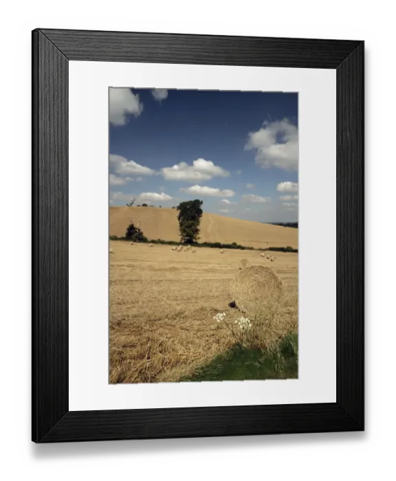 Framed Print : Late Summer in the Cotswolds Framed Print : Late Summer in the Cotswolds