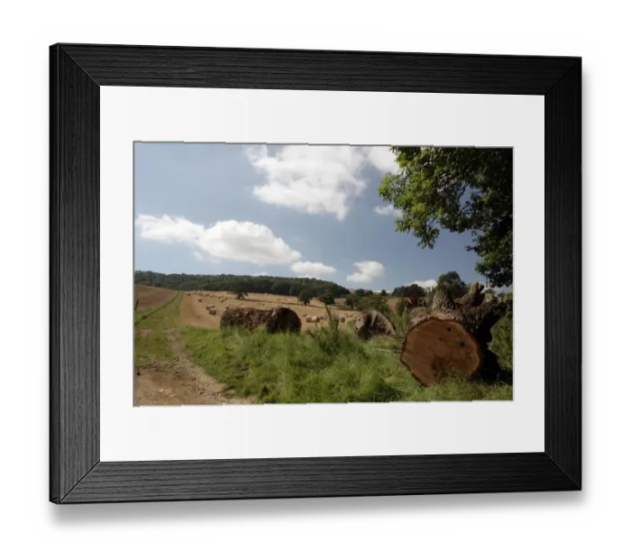 Framed Print : Late Summer in the Cotswolds Framed Print : Late Summer in the Cotswolds
