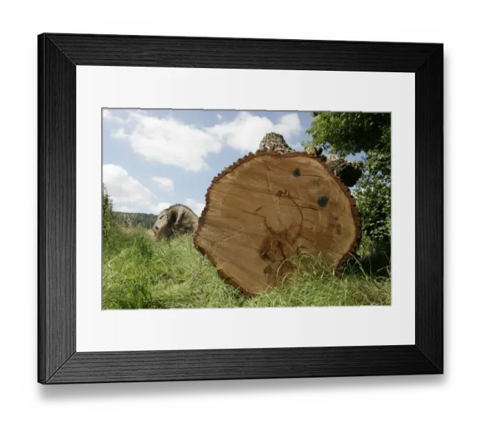 Framed Print : Late Summer in the Cotswolds Framed Print : Late Summer in the Cotswolds