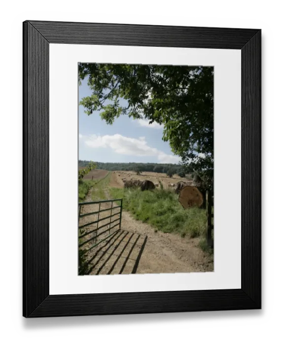 Framed Print : Late Summer in the Cotswolds Framed Print : Late Summer in the Cotswolds