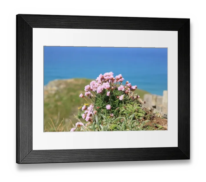 Framed Print : The Bedruthan Steps Framed Print : The Bedruthan Steps