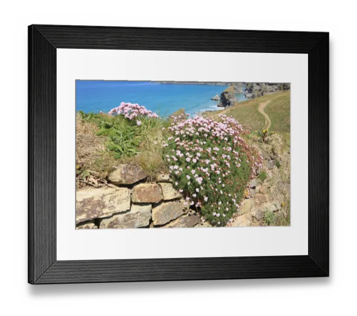 Framed Print : The Bedruthan Steps