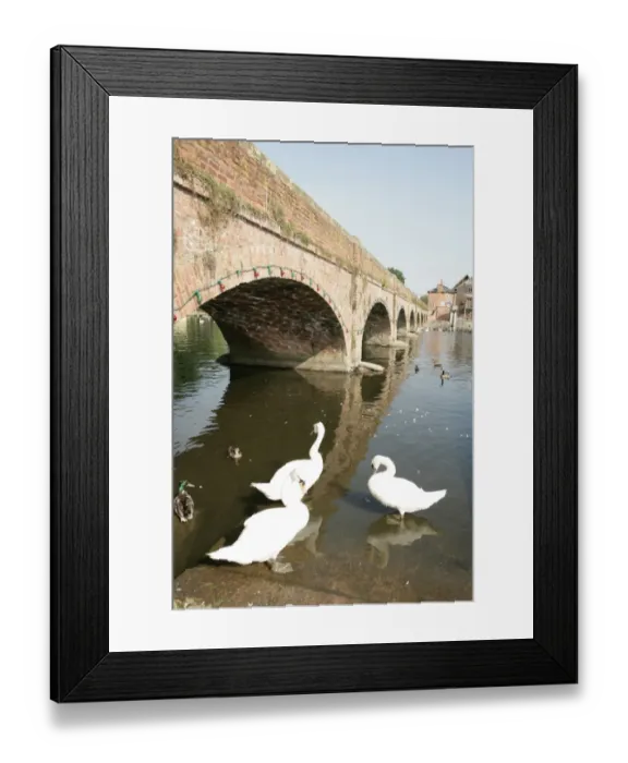 Framed Print : Stratford upon Avon Warw Framed Print : Stratford upon Avon Warw