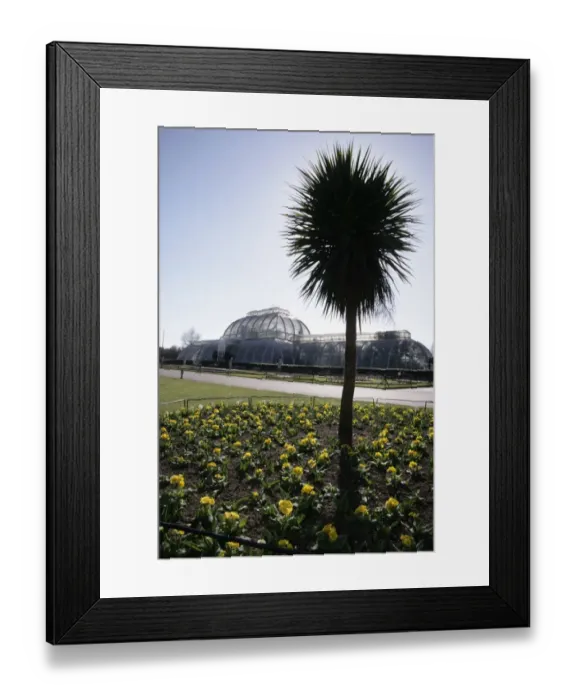 Framed Print : Kew Gardens Framed Print : Kew Gardens