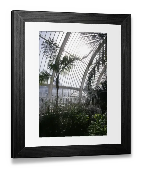 Framed Print : Kew Gardens