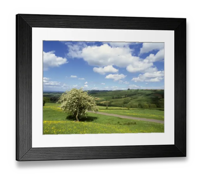 Framed Print : The Cotswolds Framed Print : The Cotswolds