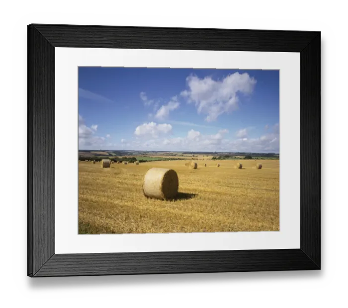 Framed Print : Cotswold Harvest Framed Print : Cotswold Harvest
