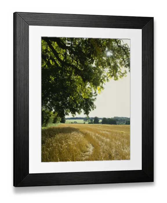 Framed Print : Woodmancote Framed Print : Woodmancote