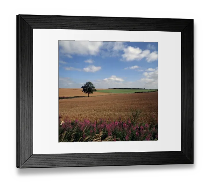Framed Print : The Cotswolds Framed Print : The Cotswolds