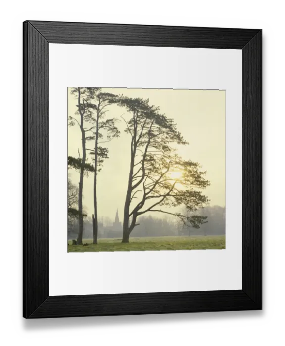 Framed Print : Winters Sun Framed Print : Winters Sun