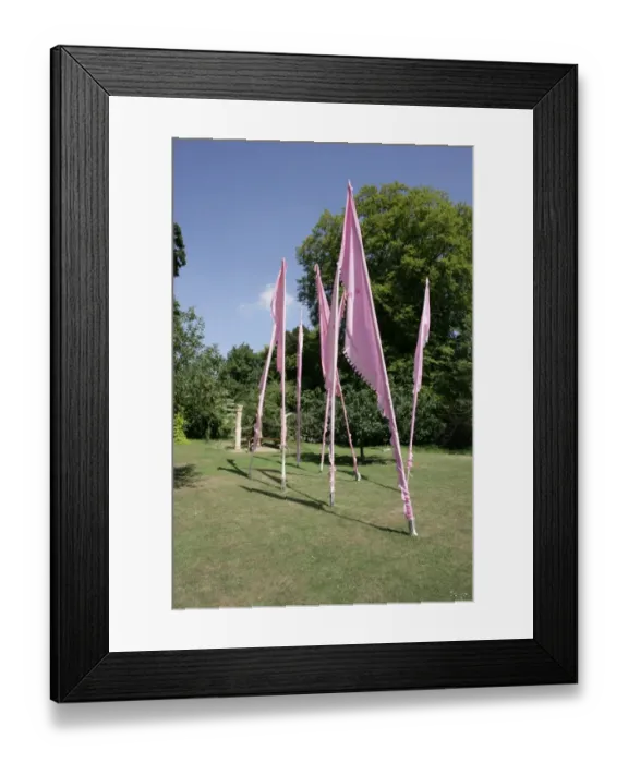 Framed Print : Fresh Air Art Show Framed Print : Fresh Air Art Show
