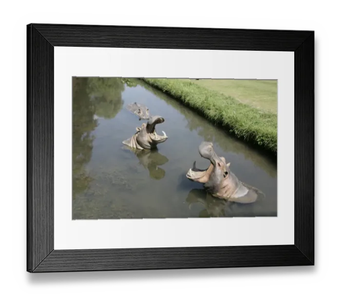 Framed Print : Fresh Air Art Show Framed Print : Fresh Air Art Show