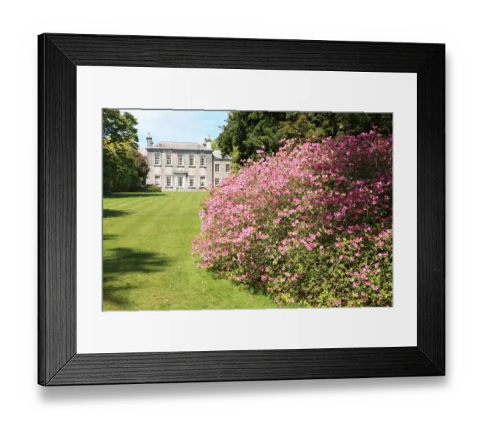 Framed Print : Trewithen House Framed Print : Trewithen House
