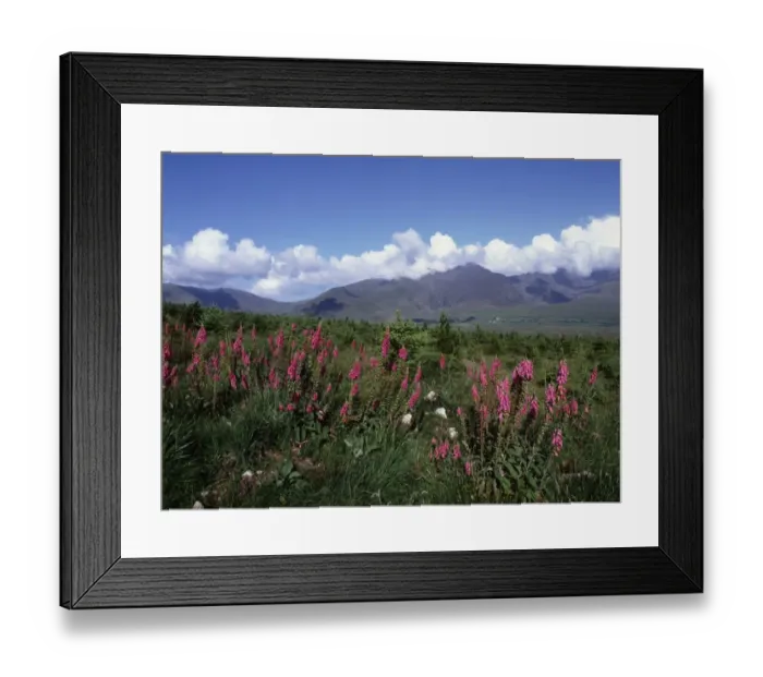 Framed Print : Connor Pass Ireland Framed Print : Connor Pass Ireland
